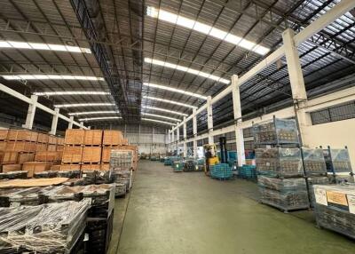 Spacious industrial warehouse with high ceiling and organized goods
