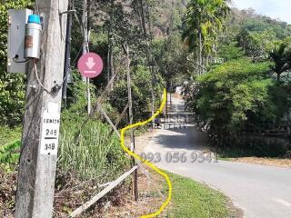 Rural road with lush greenery and utility poles