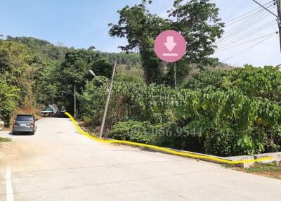 Paved road leading uphill surrounded by lush greenery in a residential area