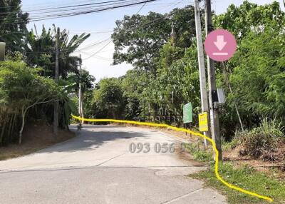 Suburban road with a barricade and lush greenery