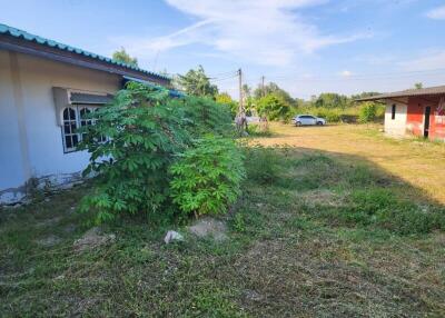 Exterior view of a house with surrounding greenery