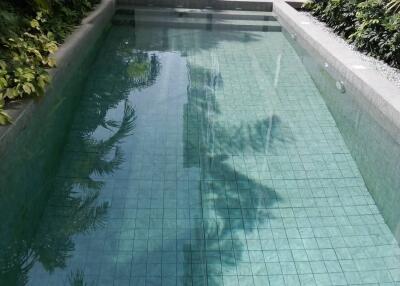 Private swimming pool surrounded by greenery