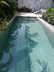 Private swimming pool surrounded by greenery