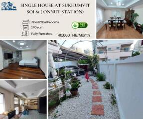Collage of various spaces in a single house including bedroom, dining area, and garden pathway