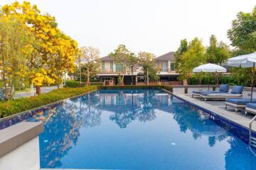 Luxurious backyard with swimming pool, lounge chairs, and residential building