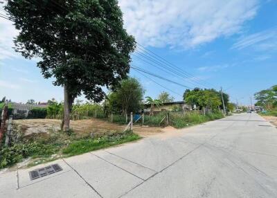 Paved street with surrounding greenery under a clear sky