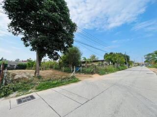 Paved street with surrounding greenery under a clear sky