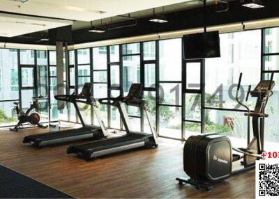 Well-equipped modern gym with large windows and various exercise machines