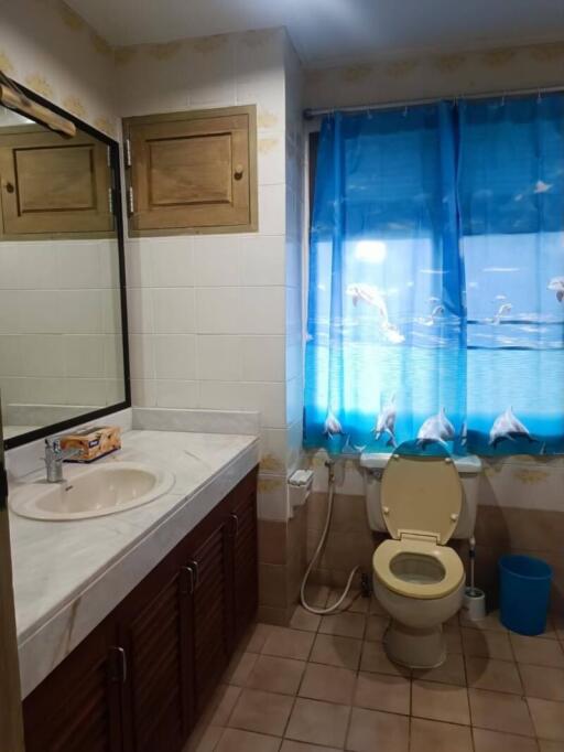 Compact bathroom with a sink, toilet, and marine-themed curtain