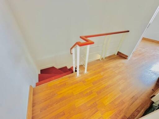 Staircase with wooden floors and red carpet