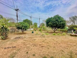 Spacious backyard with greenery and clear sky