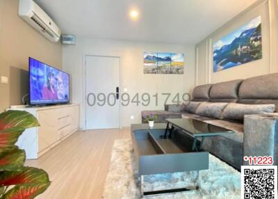 Cozy and modern living room interior with comfortable seating and entertainment unit