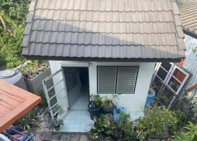 Exterior view of a small residential home with a slanted roof and garden plants