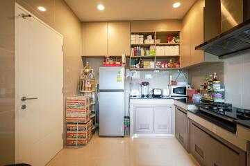 Modern kitchen with appliances and well-stocked shelves