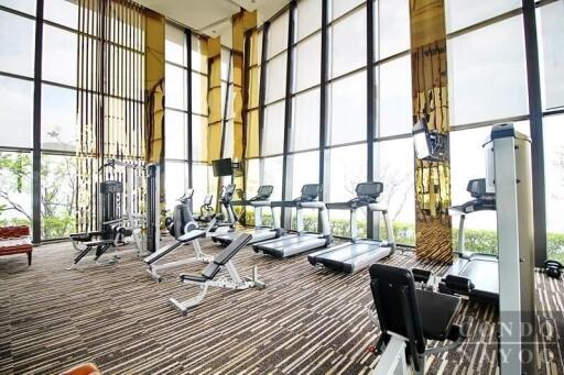 Modern gym facility with cardio machines and weight training equipment