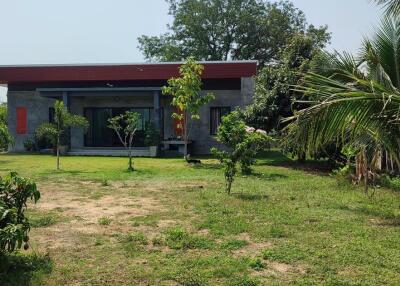 Exterior view of a modern house with a garden
