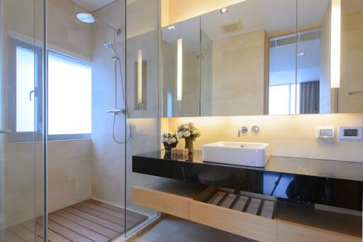 Modern bathroom with glass shower and sleek vanity