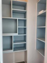 Empty built-in shelves in a modern home