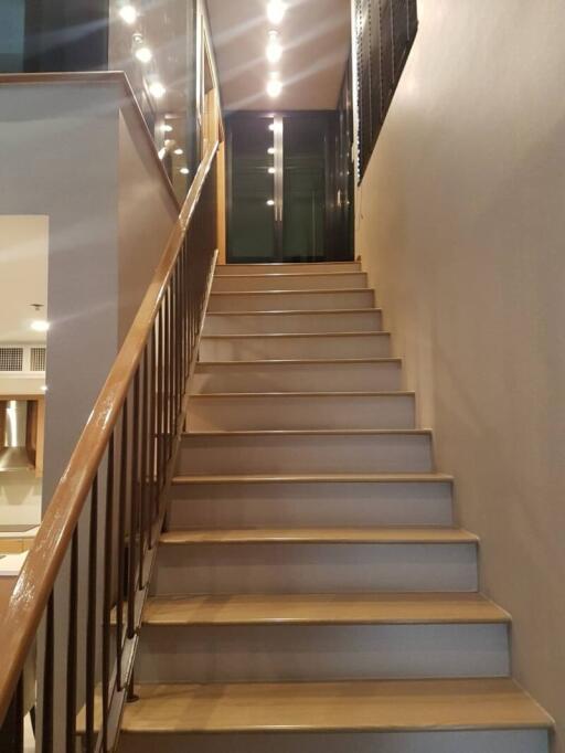 Modern staircase with wooden handrail and LED step lights