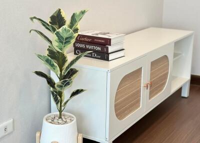 Elegant white storage cabinet with decorative plant and books in a modern living space
