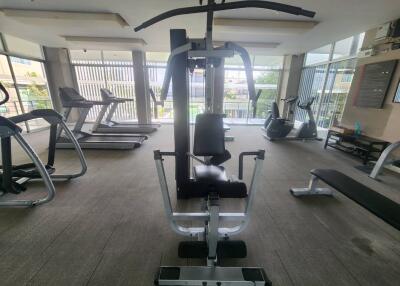 Modern gymnasium with various exercise machines in a residential building