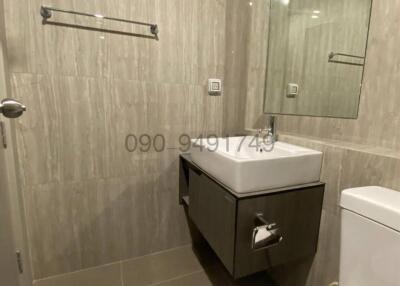 Modern compact bathroom with tiled walls