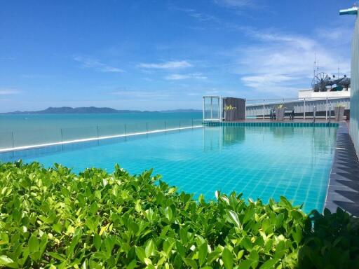 Rooftop swimming pool with ocean view