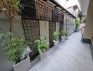 Modern outdoor patio with plants and sleek flooring