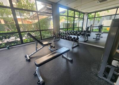 Home gym space with exercise equipment and large windows