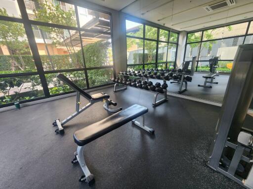 Home gym space with exercise equipment and large windows