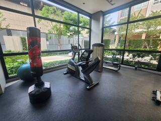 Home gym with exercise equipment surrounded by large windows