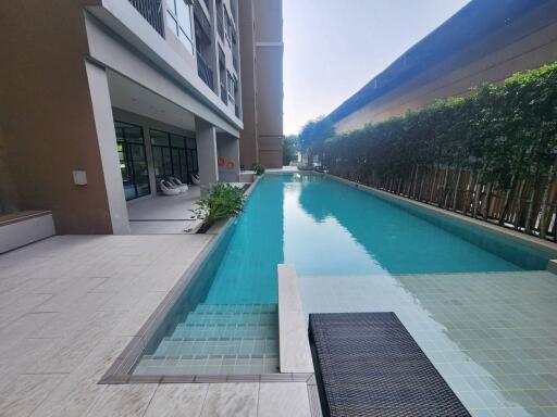 Residential building swimming pool lined with sun loungers and greenery