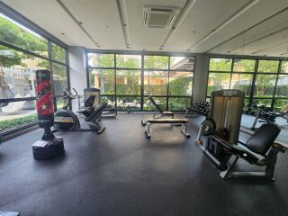 Modern home gym with exercise equipment