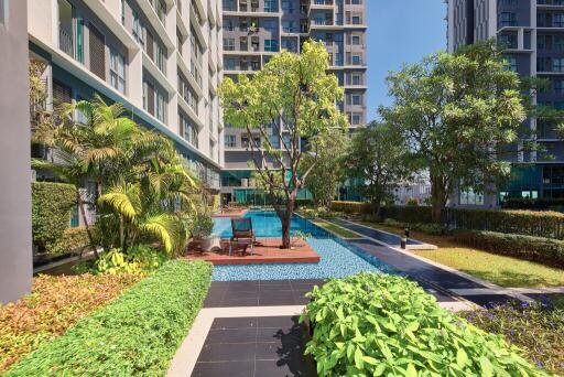 Communal swimming pool with lounging area in a modern residential complex