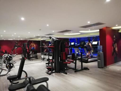 Modern gym with various exercise machines in a residential building