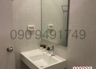 Modern bathroom with white sink and tiled walls