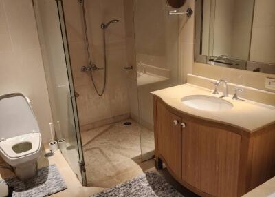 Contemporary bathroom interior with shower and vanity