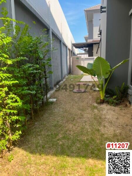 Narrow side yard with greenery and a pathway between fences