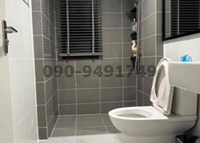 Modern bathroom interior with ceramic toilet and shower