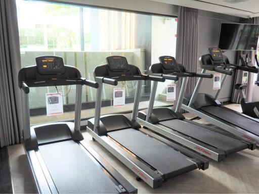 Home gym with treadmills overlooking a window