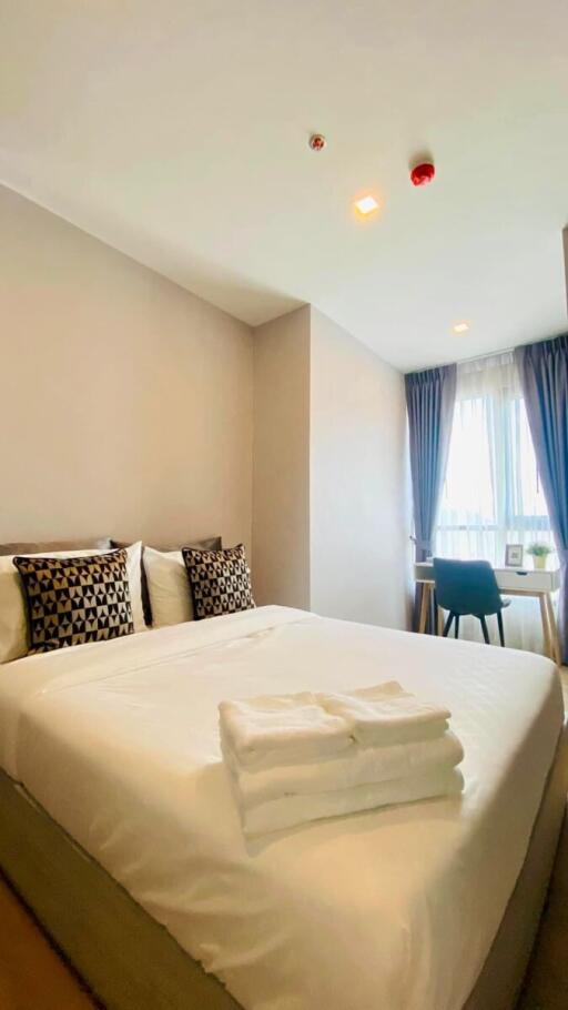 Bright and cozy bedroom interior with neatly made bed, decorative pillows, and a view of a window-side table and chair