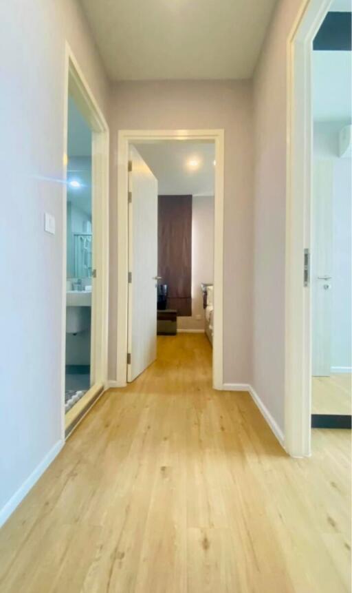 Bright hallway with wooden flooring leading to various rooms