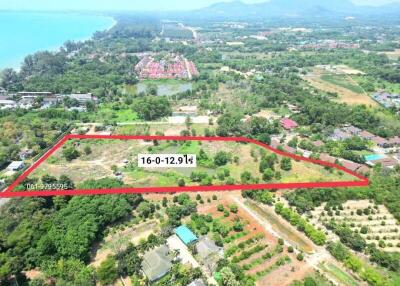 Aerial view of a spacious land plot highlighted with edges, potential real estate property with lush greenery and near coastal area
