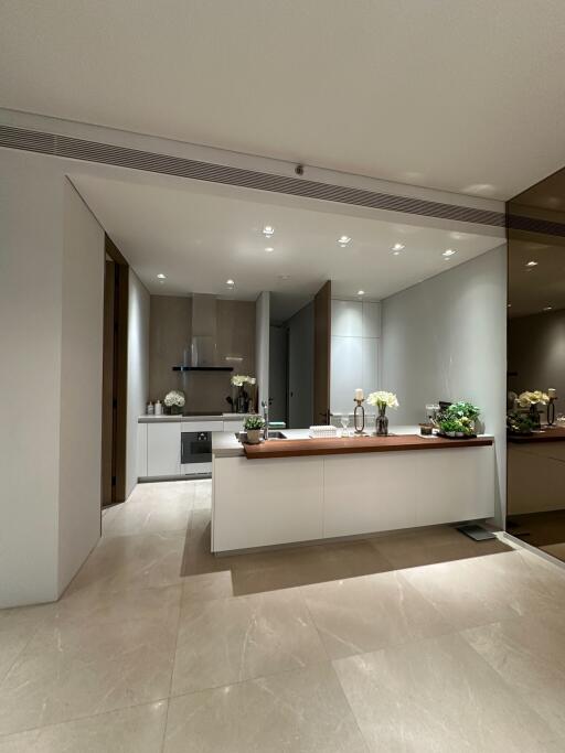 Modern kitchen with island and integrated appliances