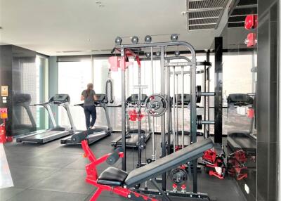 Modern home gym with exercise equipment and treadmill