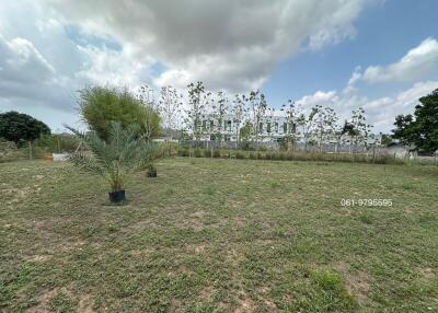 Spacious outdoor area with green lawn and young trees