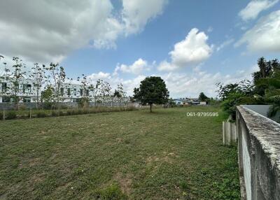 Spacious grassy backyard with clear skies and surrounding foliage