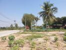 Empty land for sale with potential for building, near a road with lush greenery and clear skies