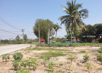 Empty land for sale with potential for building, near a road with lush greenery and clear skies