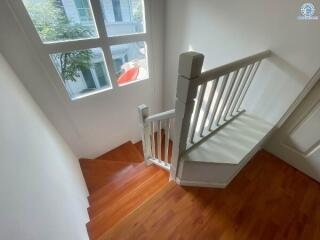 Bright staircase with wooden floors and white banister inside a house